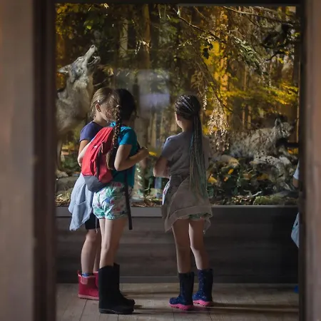 Schronisko Pttk Przyslop Pod Barania Gora