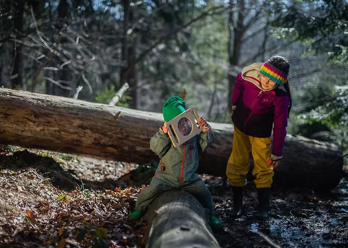 Schronisko Pttk Przyslop Pod Barania Gora Wisla